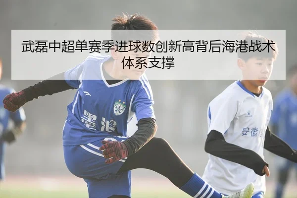 武磊中超单赛季进球数创新高背后海港战术体系支撑